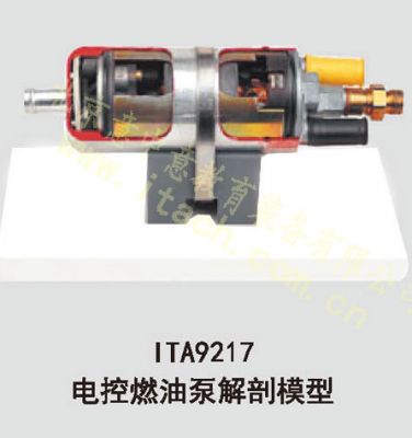 电控燃油泵解剖模型