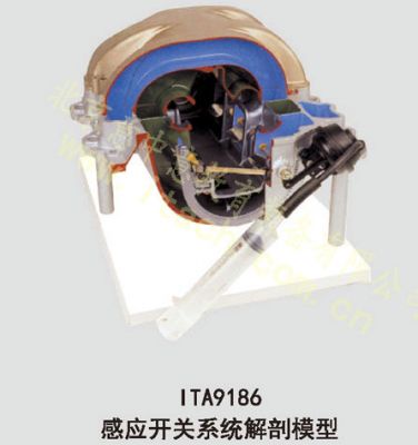 感应开关系统解剖模型