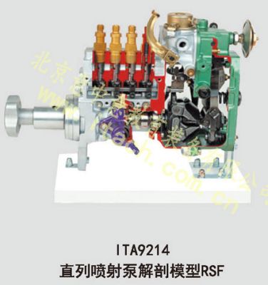 直列喷射泵解剖模型（RSF）