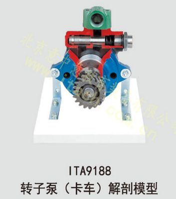 转子供油泵（卡车）解剖模型