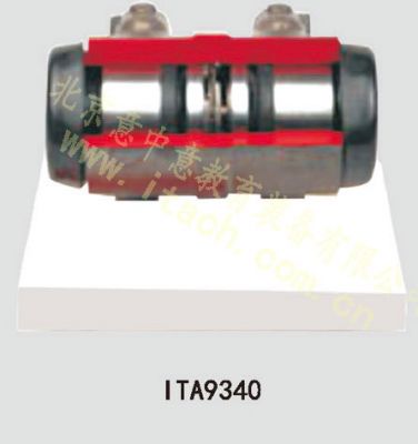 轮缸解剖模型