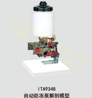 自动防冻泵解剖模型