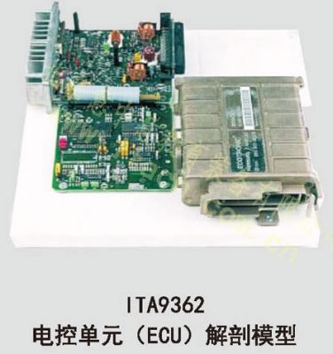 电控元件（ECU）解剖模型